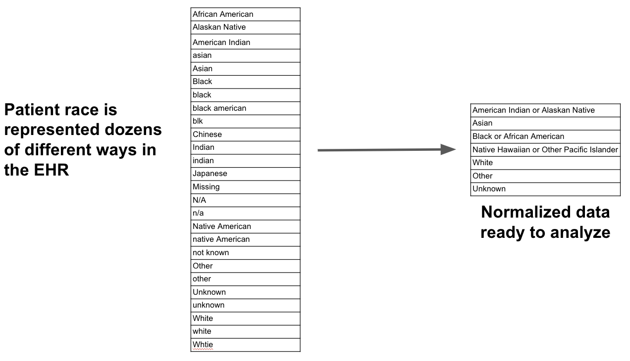 Vocab Normalization Example